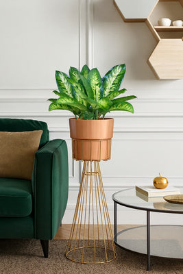 Planters