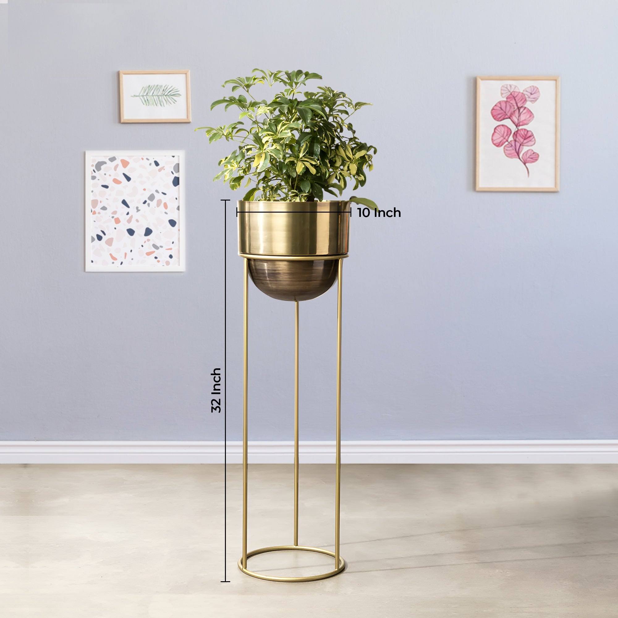 Modish Golden Finish - Large Size Planter
