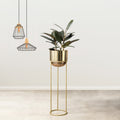 Modish Golden Finish - Medium Size Planter