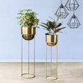 Modish Golden Finish Planters Set of 2