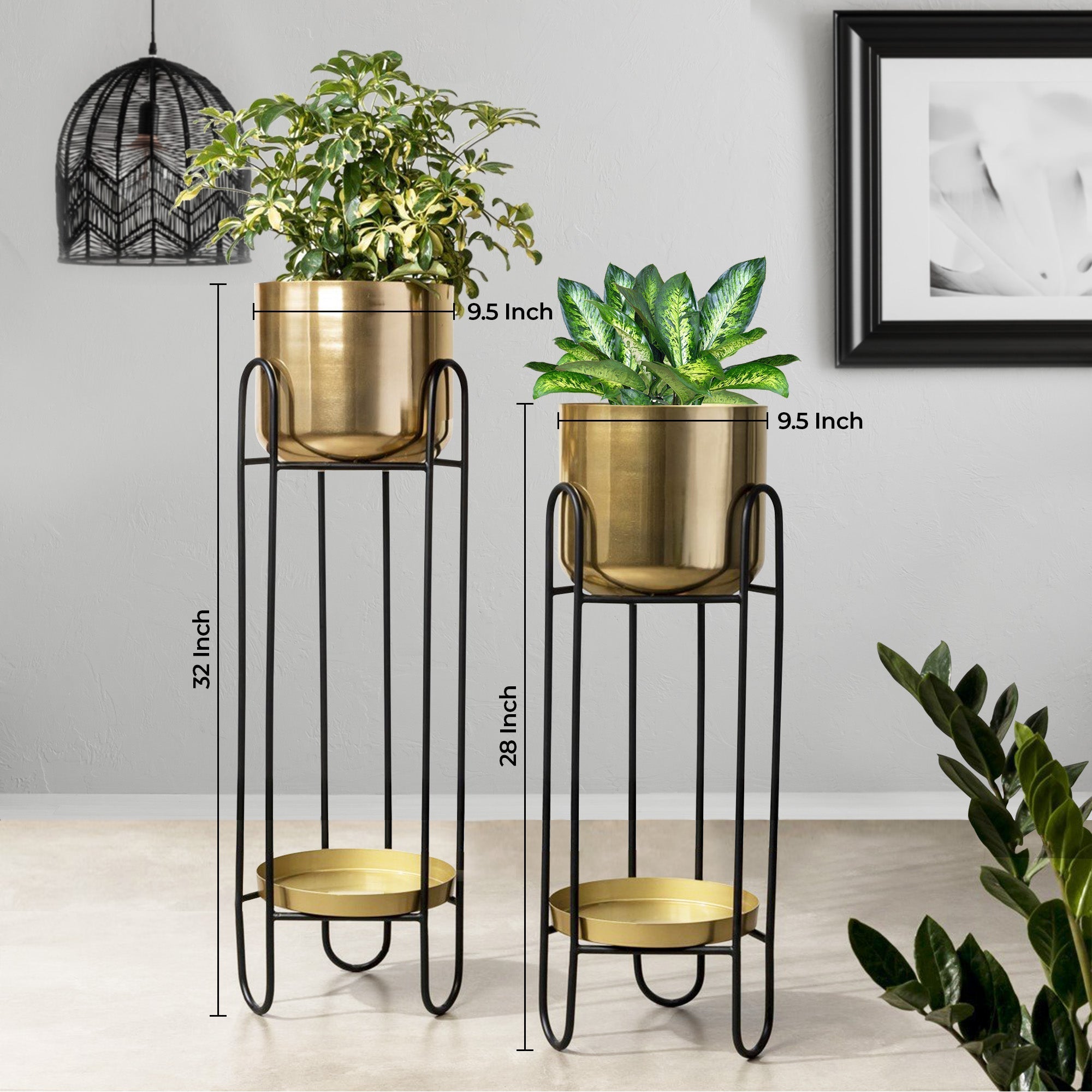 Dual Crown Black Stand & Golden Finish Pot Planters Set of 2