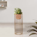 Botanic Couture Gold Stand & Rose Gold Pot - Medium Size Planter