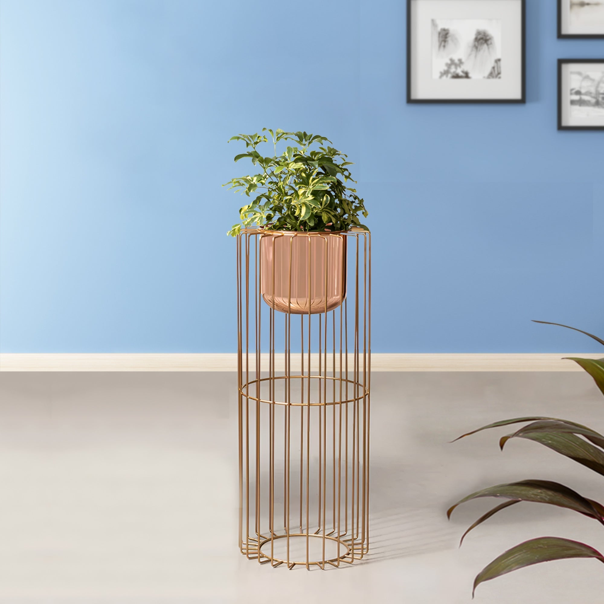 Botanic Couture Gold Stand & Rose Gold Pot - Medium Size Planter