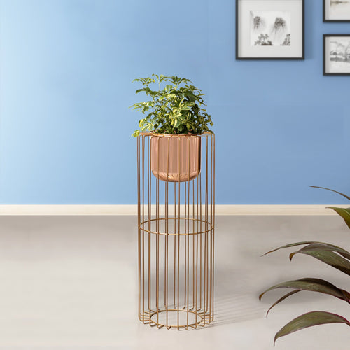 Botanic Couture Gold Stand & Rose Gold Pot - Medium Size Planter