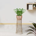 Zen Botanics Gold Stand & Rose Gold Pot - Medium Size Planter