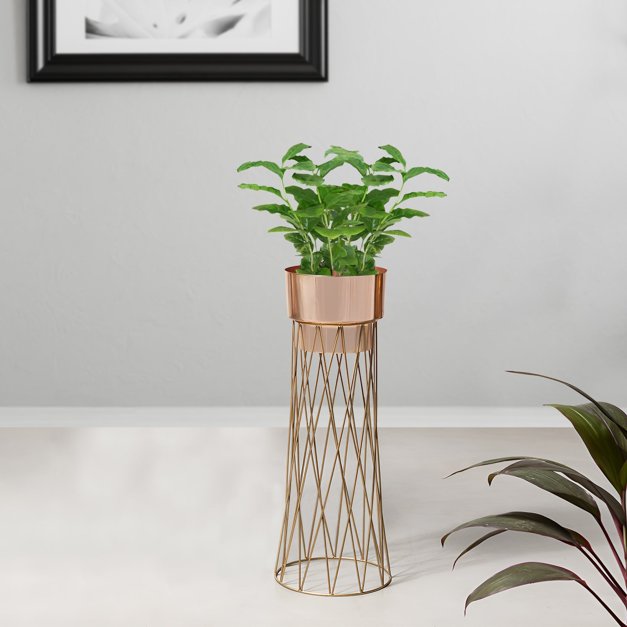 Zen Botanics Gold Stand & Rose Gold Pot - Medium Size Planter