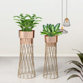 Zen Botanics Gold Stand & Rose Gold Pot Planters Set of 2