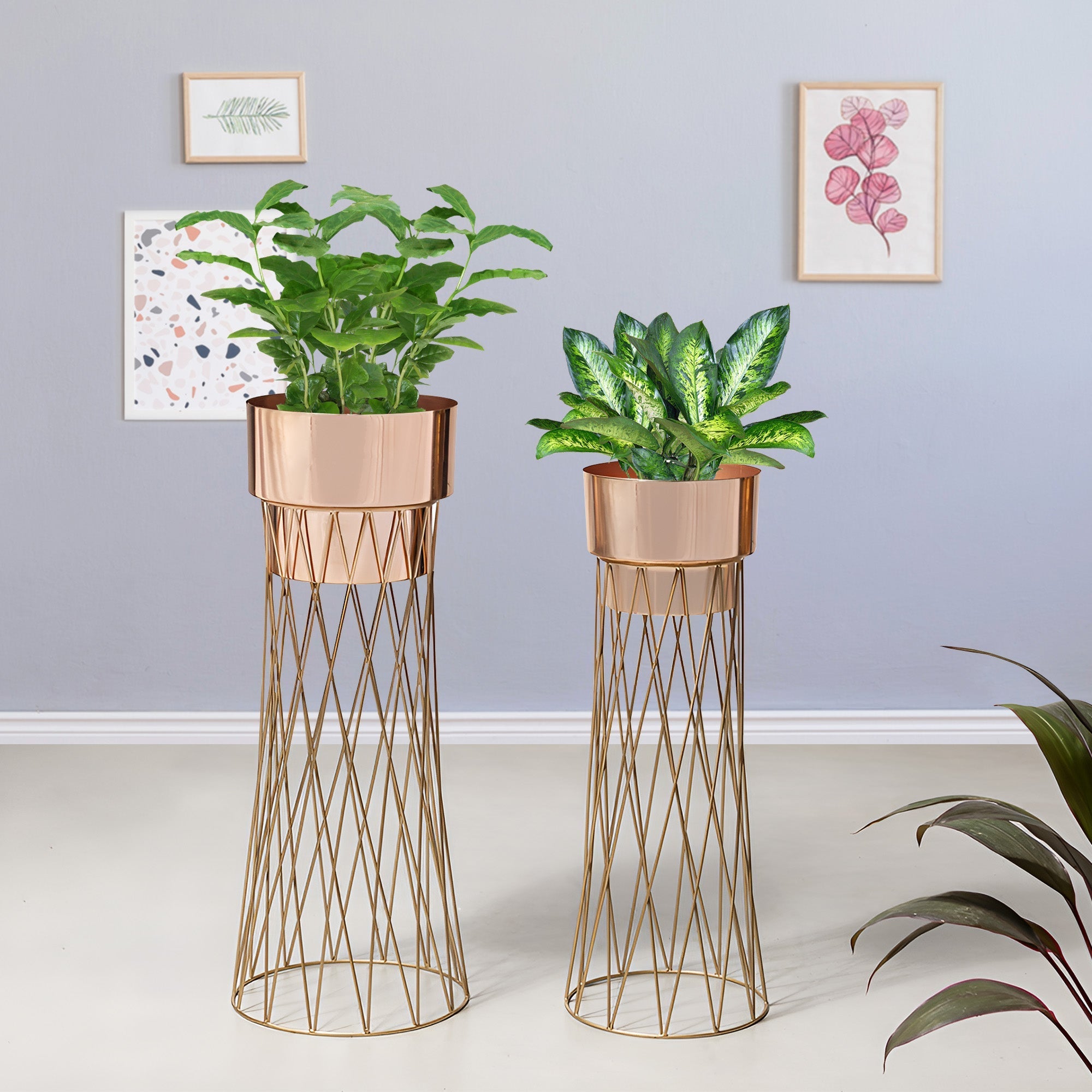 Zen Botanics Gold Stand & Rose Gold Pot Planters Set of 2