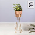 Avant Garden Gold Stand & Rose Gold Pot - Large Size Planter