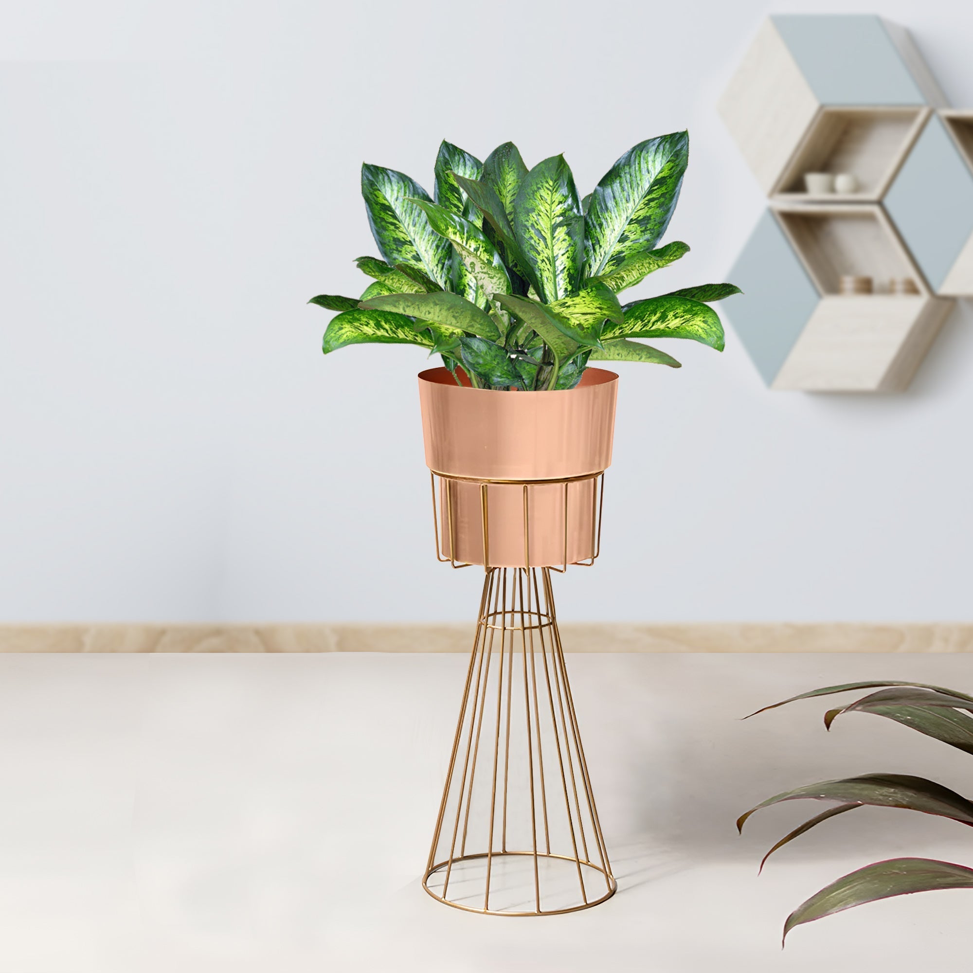 Avant Garden Gold Stand & Rose Gold Pot - Medium Size Planter