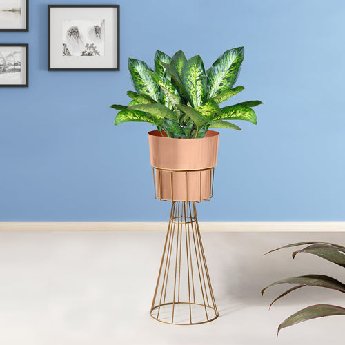 Avant Garden Gold Stand & Rose Gold Pot - Medium Size Planter