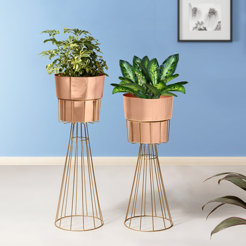 Avant Garden Gold Stand & Rose Gold Pot Planters Set of 2