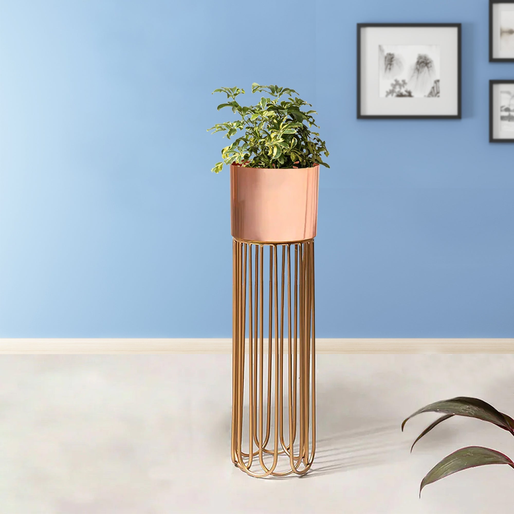 Artisan Arboretum Gold Stand & Rose Gold Pot - Large Size Planter