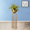 Urban Zen Golden Finish - Large Size Planter