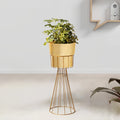 Avant Garden Golden Finish - Medium Size Planter