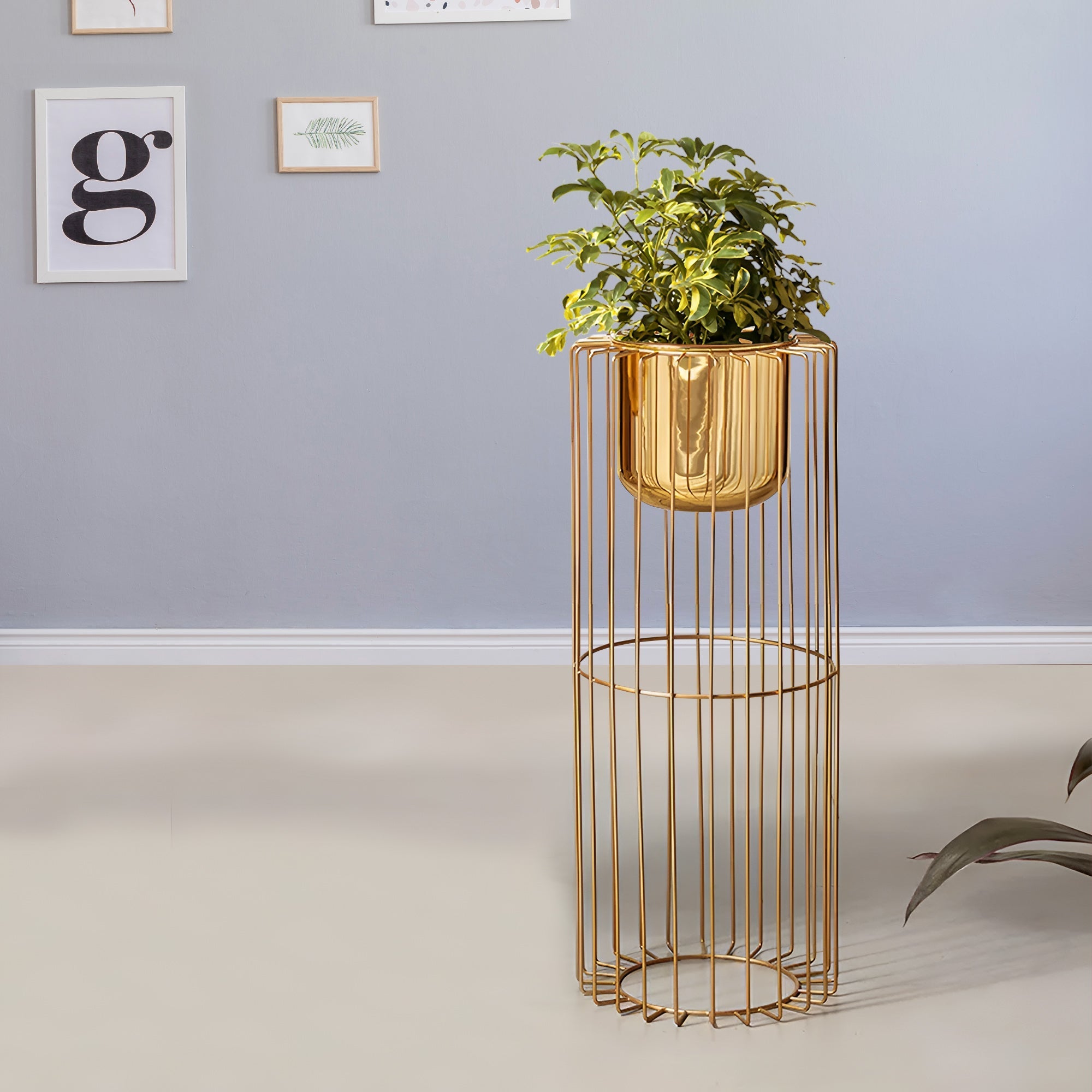 Botanic Couture Golden Finish - Medium Size Planter
