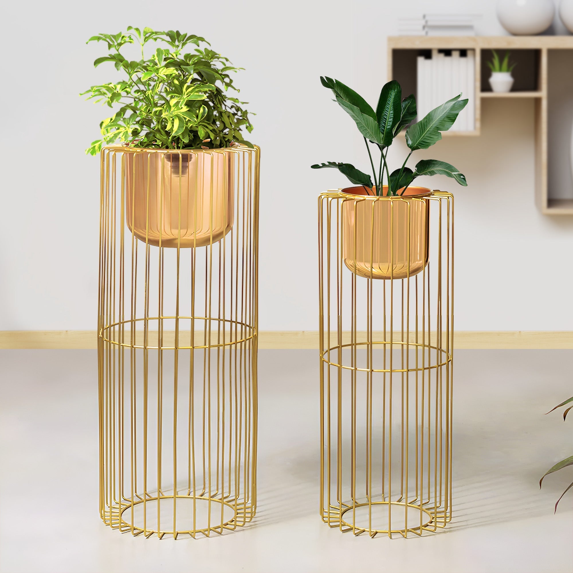Botanic Couture Golden Finish Planters Set of 2