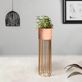 Artisan Arboretum Gold Stand & Ross Gold Pot - Medium Size Planter