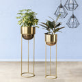 Modish Golden Finish Planters Set of 2