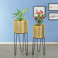 Verdant Oasis Black Stand & Golden Finish Pot Planters Set of 2