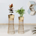 Zen Botanics Gold Stand & Ross Gold Pot Planters Set of 2